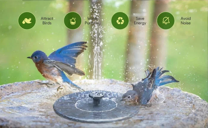 Solar Fountain Pump for Garden Water Feature